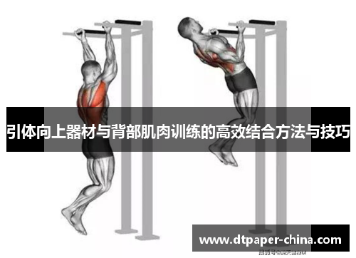 引体向上器材与背部肌肉训练的高效结合方法与技巧