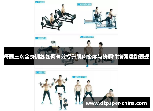 每周三次全身训练如何有效提升肌肉密度与协调性增强运动表现