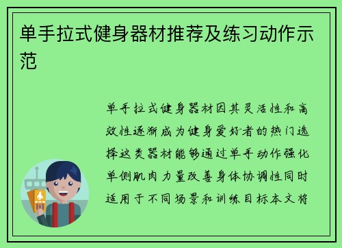 单手拉式健身器材推荐及练习动作示范